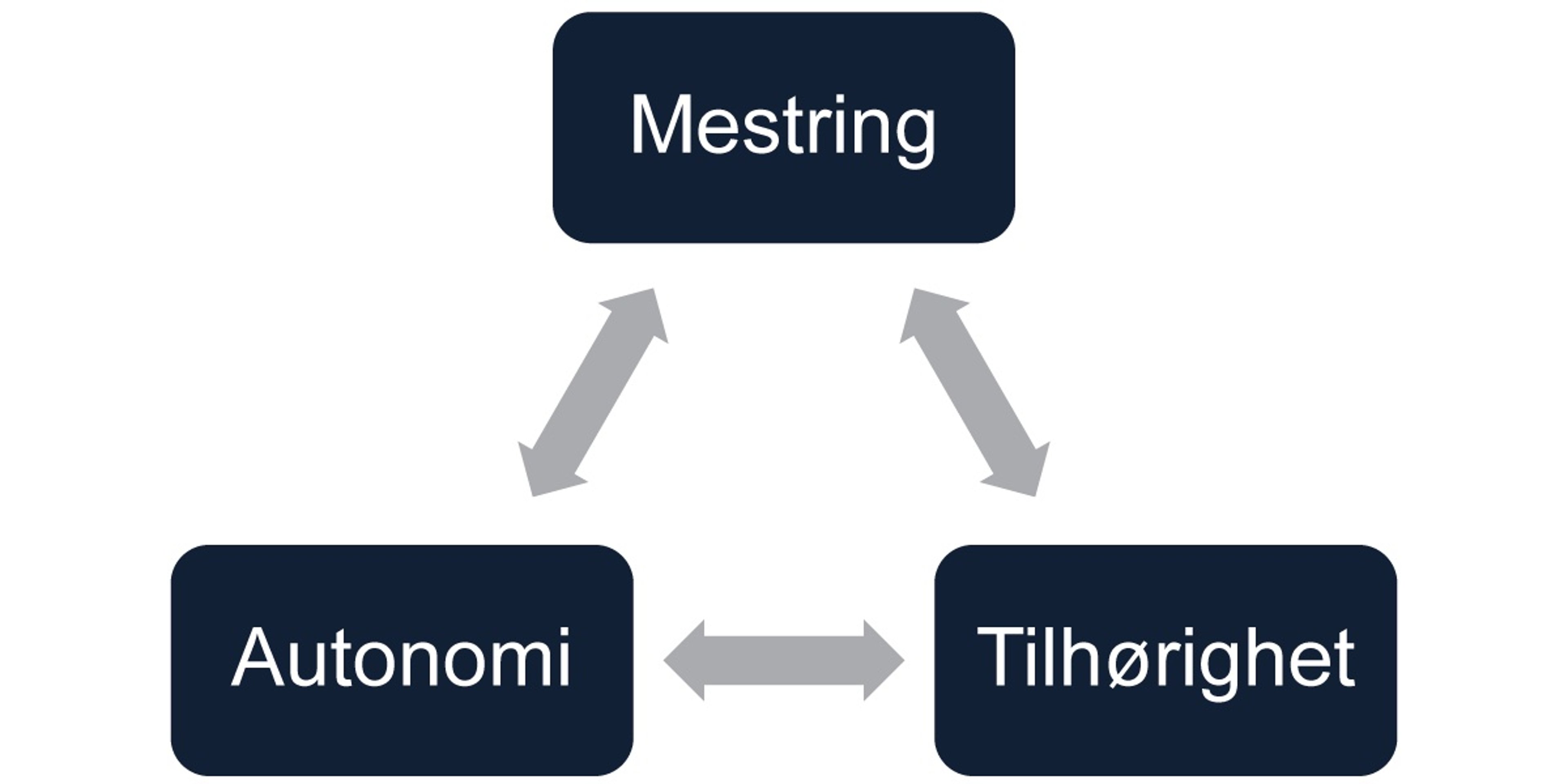 tre grunnleggende psykologiske behov